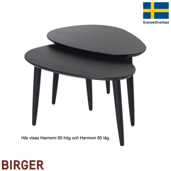 Harmoni 65 Svartbetsad ek 65x45cm (Flera utföranden) - Bild 2